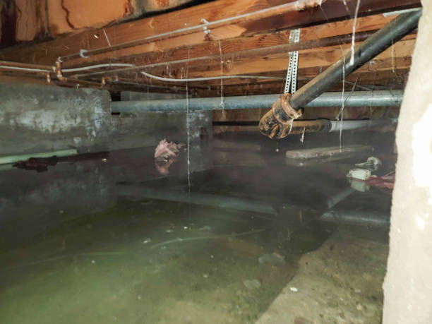 Best Commercial water damage restoration  in Northeast Ithaca, NY