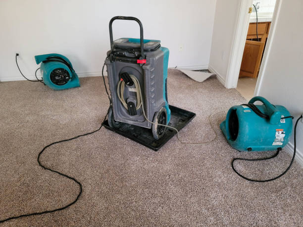 Best Water damage restoration near me  in Northeast Ithaca, NY