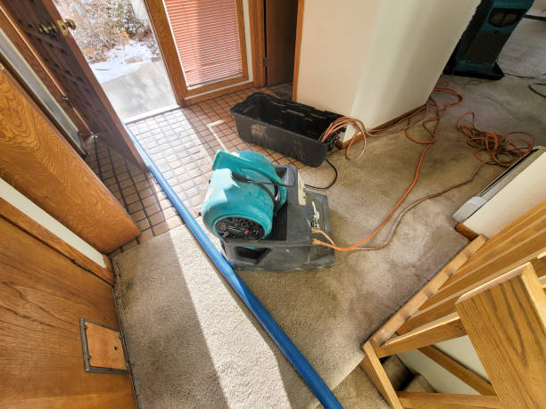 Best 24/7 water damage repair  in Northeast Ithaca, NY