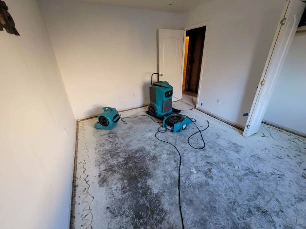 Northeast Ithaca, NY Water damage restoration Company