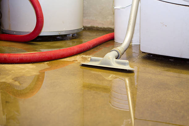 Best Water damage restoration near me  in Northeast Ithaca, NY
