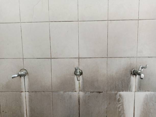 Best Carpet water damage restoration  in Northeast Ithaca, NY
